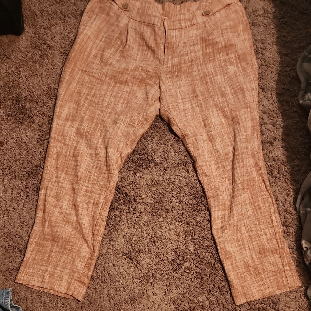 Womans rusty orange slacks